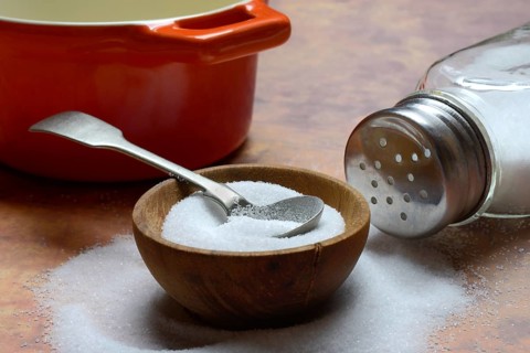 Salt in bowl and salt shaker, table salt