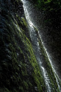Waterfall. Auvergne volcanoes natural park. Puy-de-Dome department. Auvergne-Rhone-Alpes. France