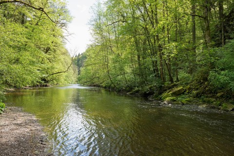 Wutach Gorge, Bonndorf, Baden-Württemberg, Black Forest, Germany
