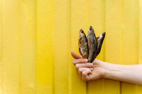 Dried fish beer snack trio in female hand isolated on yellow background, A hand holding three dried