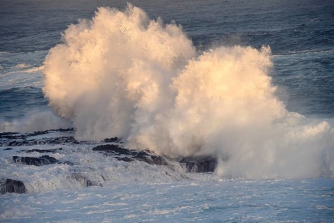 Waves break on lava rocks, high spray. Coast near La Fajana, morning light. La Palma, Canary