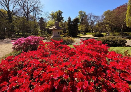 Spring with lots of colorful flowers in the garden of peace and inspiration at Dyck Castle, Jüchen,