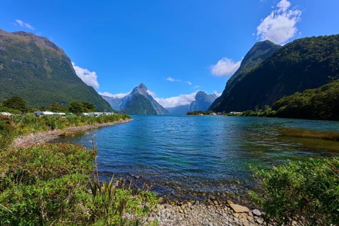 Magnificent fjord surrounded by steep mountains and clear blue sky, summer, Milford Sound, Te Anau,