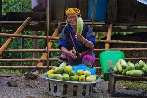 Vietnamese woman from the Hmong people, farmer selling cucumbers on the side of the road at Mù Cang