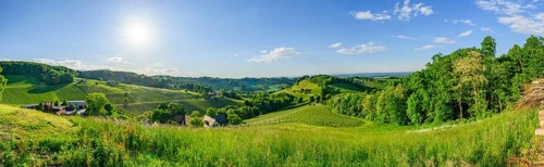 Landscape of the wine yards growing on the hills of southern styria, Austria