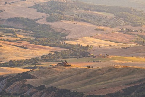 Typical Tuscan landscape in Val d'Orcia with hills, trees, fields, cypresses in autumn at sunset,