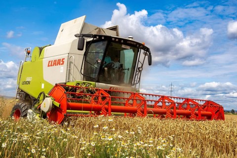Grain harvest in the Rhein-Pfalz district near Mutterstadt