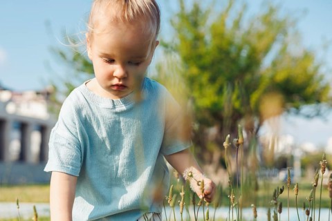 Young child in a light blue shirt crouches in a lush green field, intently picking dandelions. The