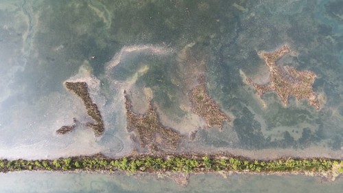Aerial view of a serene wetland in San Vicente de la Barquera, Cantabria, Spain. The image captures