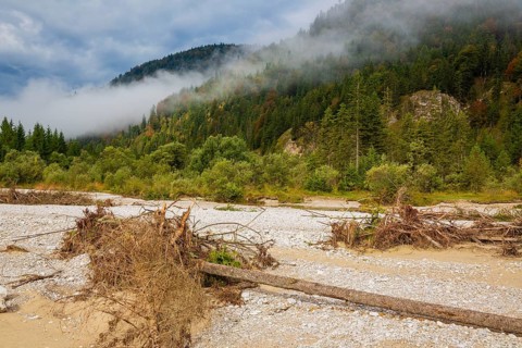 Isar valley nature conservancy area. The wild Isar river flows through its gravel bed past