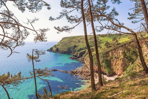 Scenics view at a rocky coast landscape with a sea view and a bay a sunny spring day from a pine