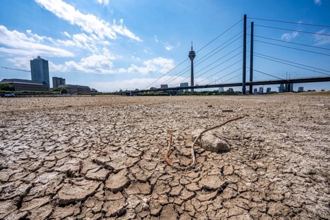 Dry riverbed, brittle floes, extreme low water, Rhine level at 41 cm, downward trend, freighters