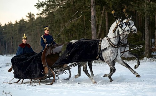 Kaiser Wilhelm II. in a sleigh, history, uniform, KaiserKaiser Wilhelm II, monarchy, winter, snow,