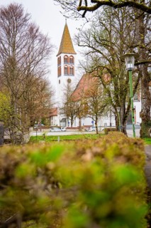 White church tower juts out between early spring trees in an old town, Isny, Allgäu, Bavaria,