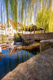 A picturesque bridge scene with reflections in the water, framed by green pastures in an idyllic