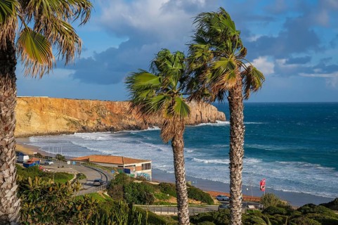 Sagres, Algarve, Portugal - Palm trees on the town beach Praia da Mareta, with the Ponta da Atalaia