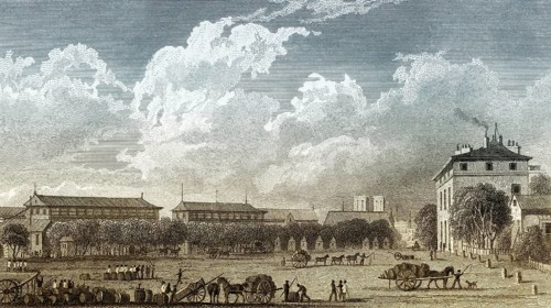 La halle aux vins de Paris, antique steel engraved print, 1831