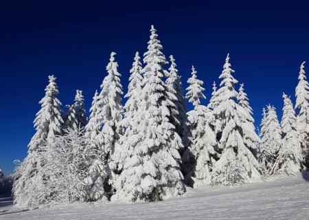 Winter landscape in the Fichtelgebirge, Bayreuth district, Upper Franconia, Bavaria, Germany