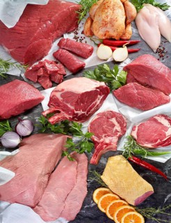 Selection of different types of raw meat, duck, studio shot