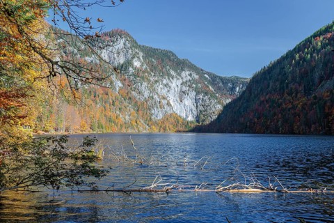 Lake Toplitz, Forest in Fall Colors, Austria