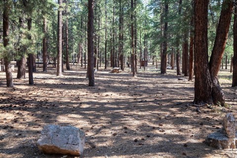 Grand Canyon National Park, Arizona, The campground on the North Rim of the Grand Canyon a year