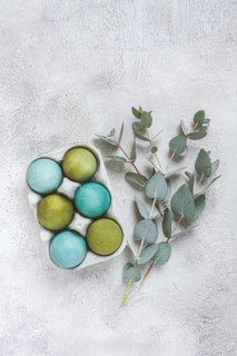 Easter colored eggs, in green and turquoise tones, with eucalyptus leaves, Easter card, top view,