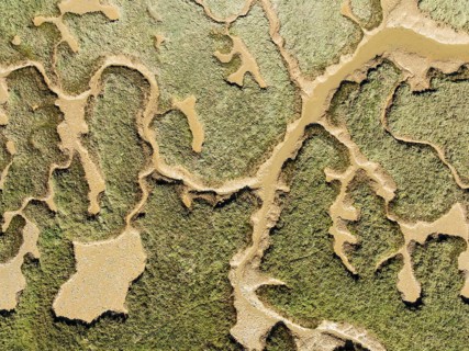 Network of channels and streams at low tide. In the marshland of the Piedras River. Aerial view.
