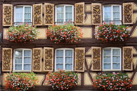 Bakery, façade with windows and decorated shutters, Colmar, Haut-Rhin, Alsace, Grand Est, France