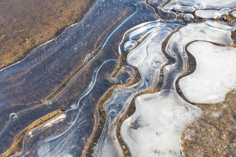 Ice on the banks of the Elbe with air pockets creates structures that stimulate the imagination