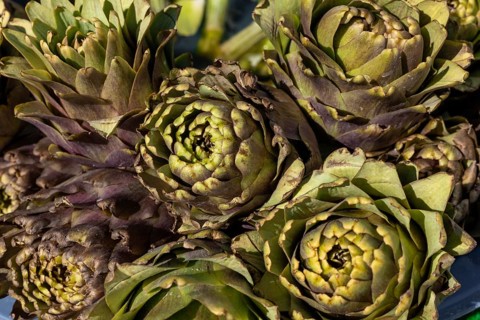 Fresh artichokes with green and purple hues closely packed together