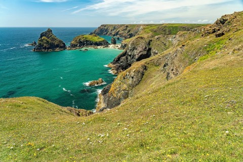 The coast at Kynance Cove, Cornwall, England, Great Britain