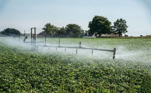 Irrigation of potato field with a farm in the background in Ystad Municipality, Skåne County,