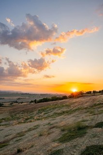 Typical Tuscan landscape in Val d'Orcia with hills, trees, fields, farmhouses and cypresses at