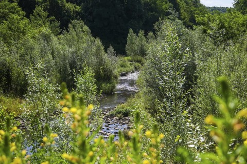 Bottrop, North Rhine-Westphalia, Germany - Renaturalised Boye, the tributary of the Emscher, was