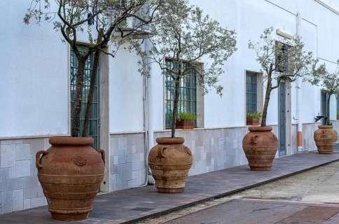 Amphorae with olive trees, Apulia, Italy