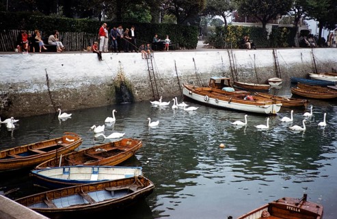 People fishing on the quay, swans and rowing boats in the water of the harbour, Dartmouth, Devon,