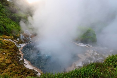 Hot spring embedded in a lush, tranquil natural landscape, Te Manaroa Spring, hot spring, Waikite