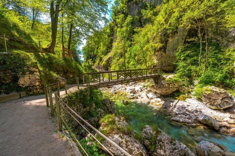 Scenic wooden bridge over a clear river flowing through the tolmin gorges in slovenia on a sunny