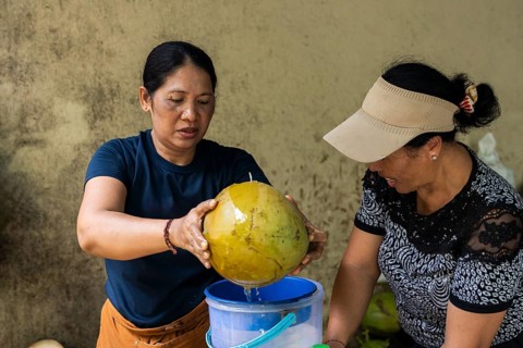Two asian women skillfully open a green coconut, pouring its water into a blue bucket. The scene