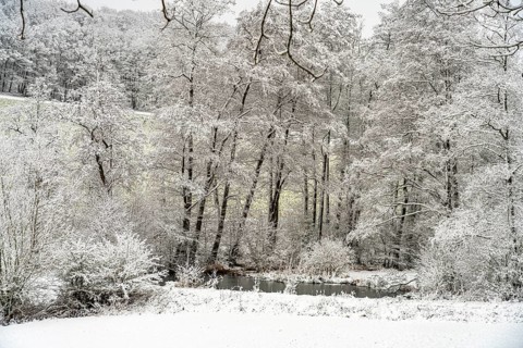 Snowy winter landscape in the Sauerland, Sundern, Hochsauerlandkreis, North Rhine-Westphalia