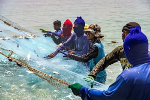 Fishermen emptying their net, Koh Libong Island in the Andaman Sea, Thailand
