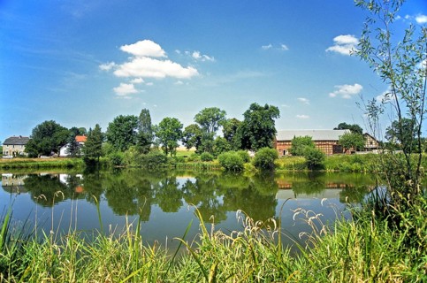 Germany, Gottesgrün, Greiz, Thuringia, village pond, landscape, pond, standing water, pond