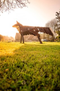 Holzfuchs on a sunny meadow in a rural village at morning sun, Dachtel, Aidlingen, Heckengäu