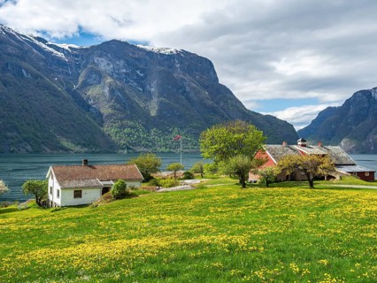 Blooming meadows and traditional wooden houses at the Aurlandsfjord, Norway