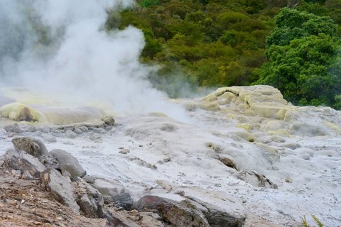 Steaming rock formations in a green volcanic environment, Te Puia, Whakarewarewa, Rotorua, North