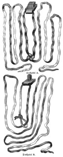 The memorandum, phylactery, is a strip of parchment on which Bible verses are written, a sophrim, a