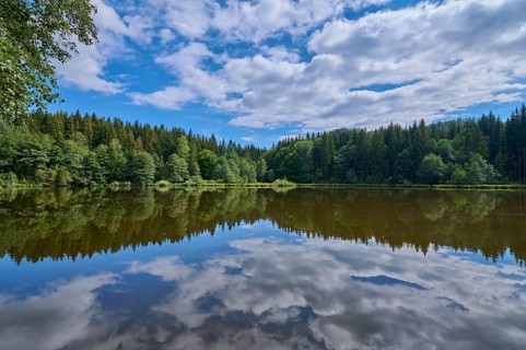 Forest lake, reflection, sky, clouds, summer, Tauern pond, Ossiach, Carinthia, Austria
