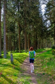 Hikers on the Rennsteig between Steinheider Hütte and Neuhaus am Rennsteig, Thuringian Slate