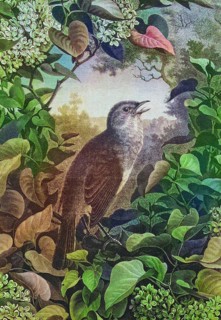 Nightingale (Luscinia megarhynchos), Philomele, Historic, digitally restored reproduction of a 19th