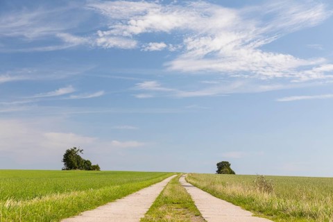 Field path and wide sky, district of Central Saxony, Saxony, Germany